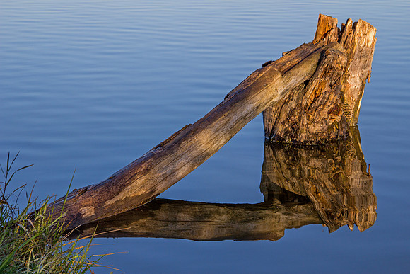 Aged Reflection
